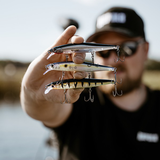 Vobleris RAPALA Precision Xtreme Mavrik 110