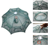 Gaudyklė Vėžiams Skėtis