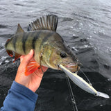 Vobleris RAPALA Shadow Rap Deep 11cm