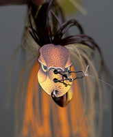 Vobleris RAPALA Rap-V Pike Bladed Jig 21g