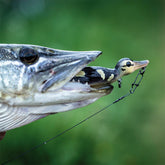 Masalas SVAGE GEAR 3D Suicide Duck 10.5cm 28g