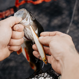 Vobleris RAPALA Precision Xtreme Mavrik 110