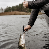 Vobleris RAPALA Precision Xtreme Mavrik 110