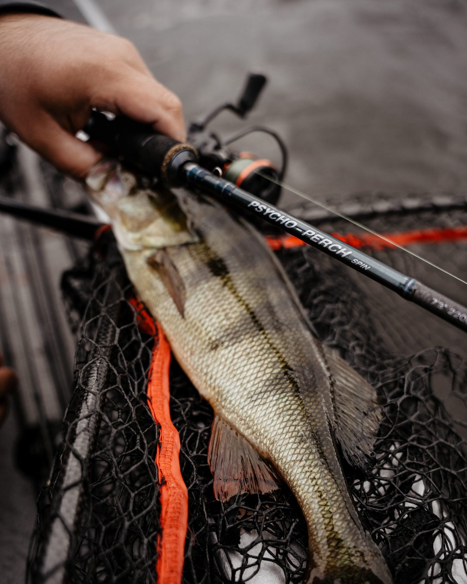 OKUMA – hooked.lt