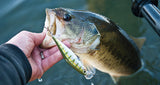 Vobleris RAPALA Shadow Rap Shad 9cm
